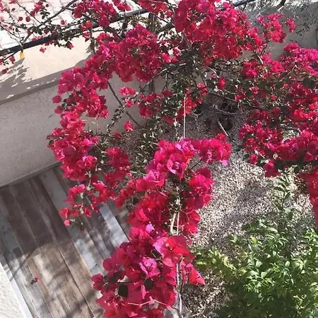 Sanisu Apartamento *